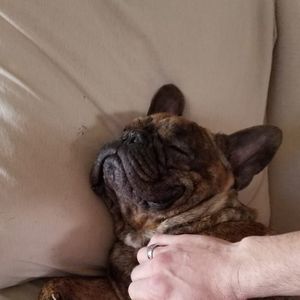 Meet your Posher, Sean